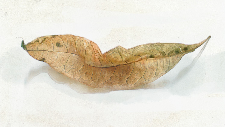 painting titled Goldleaf - gouache, watercolor and pencil on paper