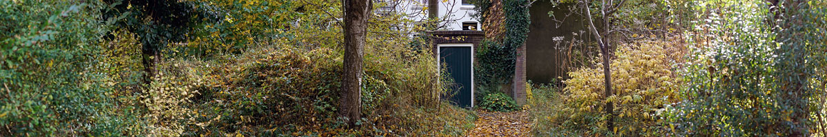 Garden and Pond Series - Path and Garden Door