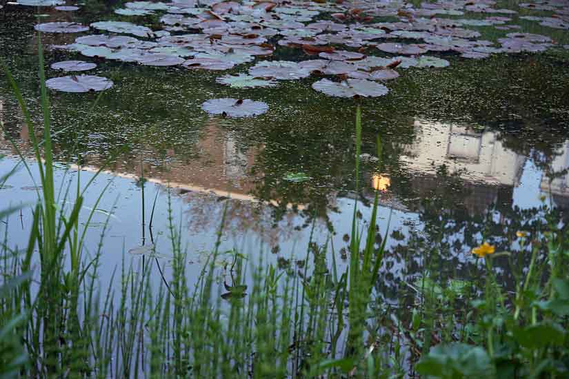 Garden and Pond Series - Light on Water, 7:00 pm
