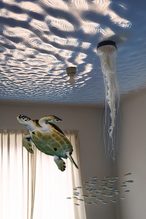 The Ceiling - Fragments of Inverted Reality