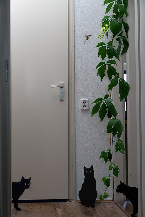 The Passage - The Arrival