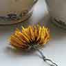 click to open gallery - The Sunflower Quadrille