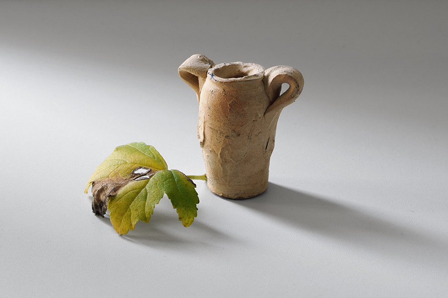 Still-Life Pictures: Jug and Leaf
