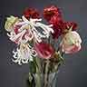 click to open gallery - Le Vase Retrouvé (1)