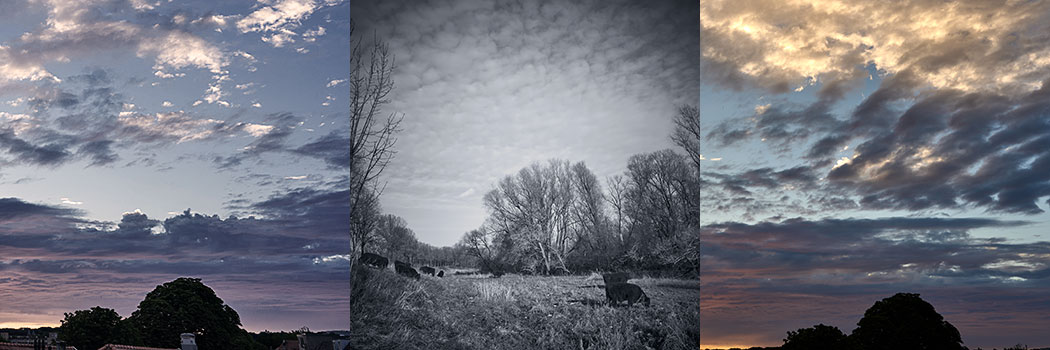 3 pictures of treetops and high clouds in twilight - title: The Zenith's Height