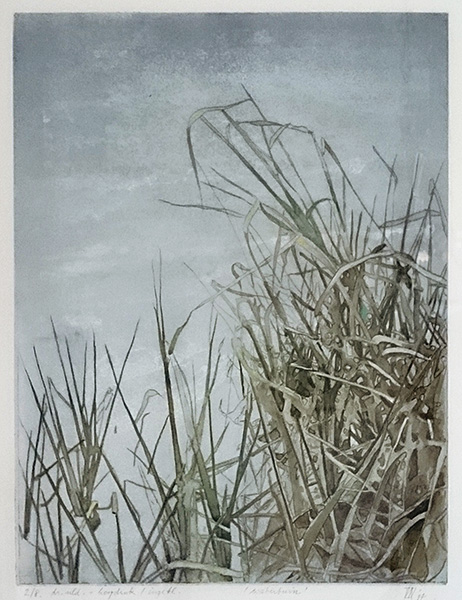 engraving of grasses ditchside (1), drypoint and watercolor