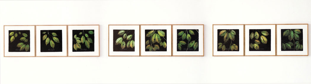 prunus series - all 9 prints of the series exhibited next to each other on a wall