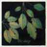 click to open gallery: to Prunus Leaves (4)