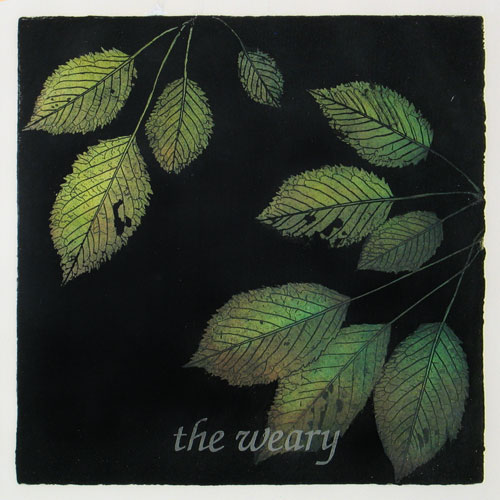 engraving of prunus leaves, titled: the Weary - this print is part of the prunus series
