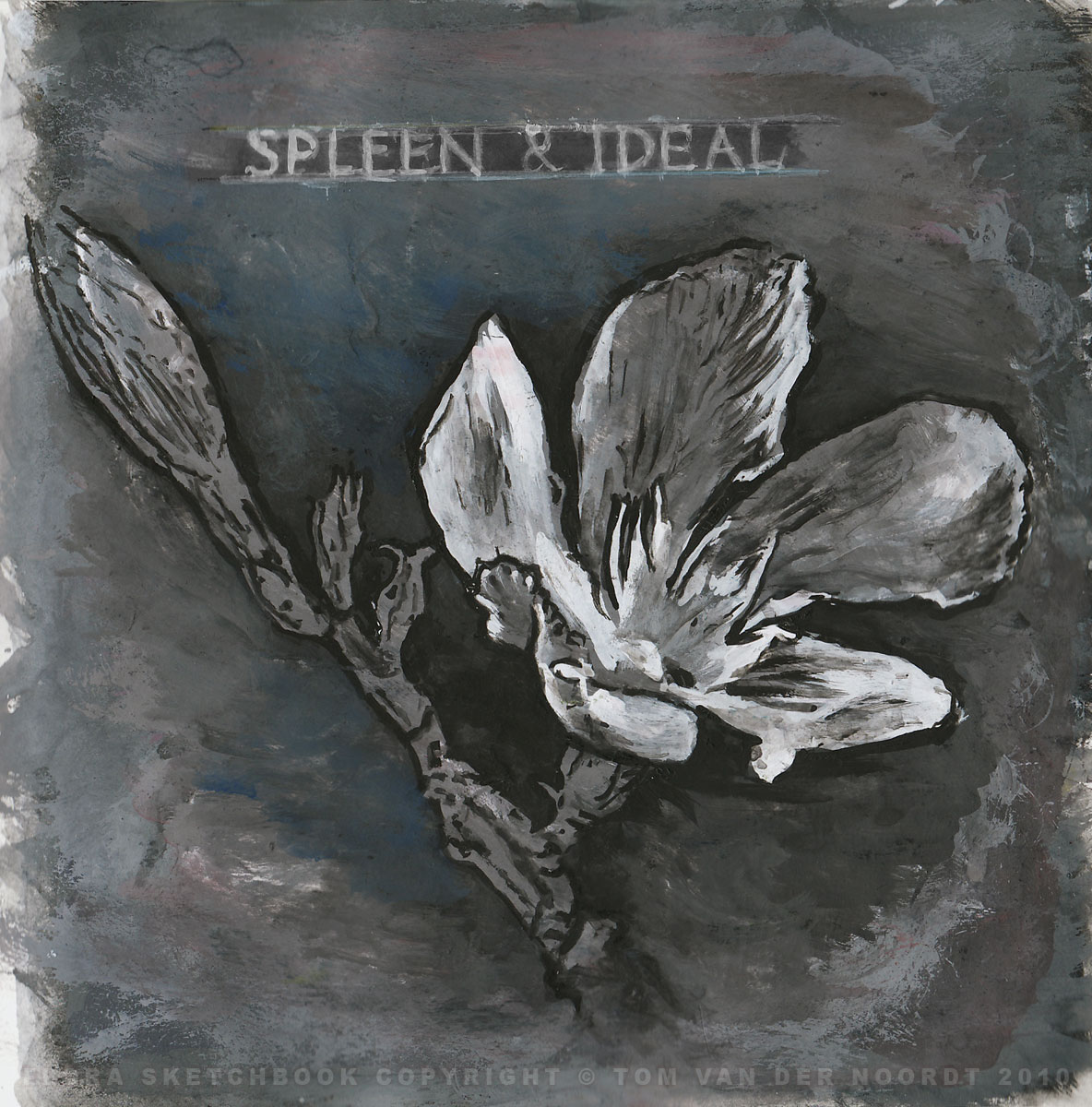 oleander-flower-06b-flora-sketchbook-pagedetail