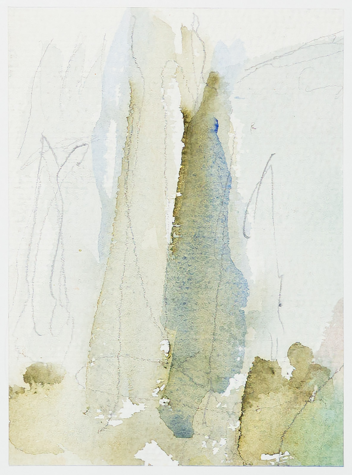 page 19: Cypresses
